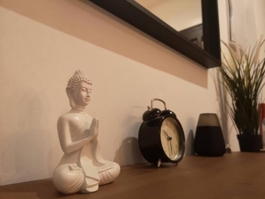 New Alexandra Apartment, 2 Min 40 Sec From Beach 라 마타 외부 사진